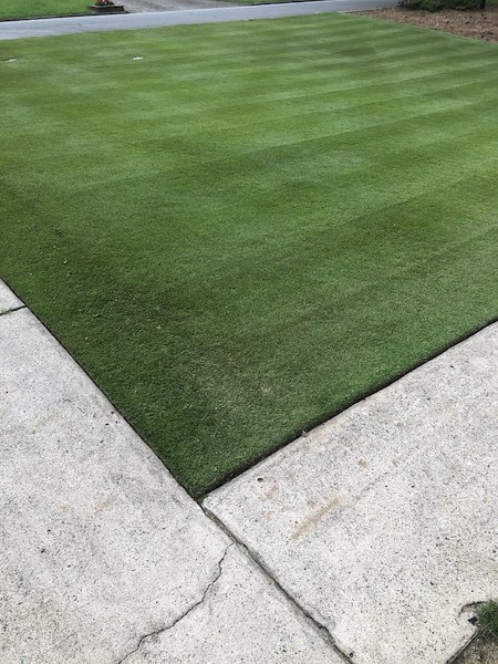 Fertilizing Your Lawn in Summer: What Works (and What Doesn’t)