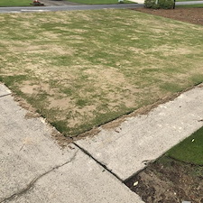 Zoysia Yard Renovation in Roswell, GA 2